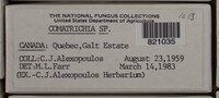 Image Associated With the Occurence